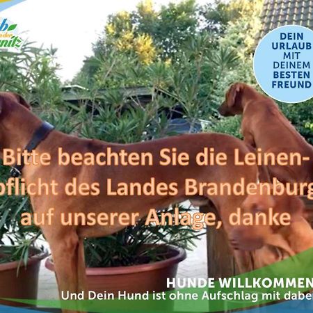 Wellness-Suite-im-Wald-am-See Kyritz Exterior foto