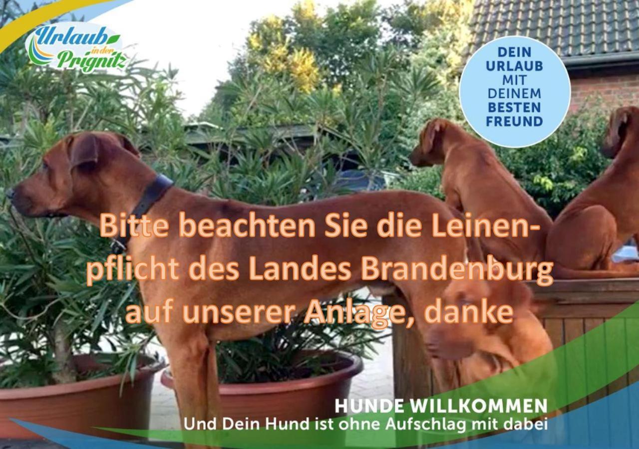 Wellness-Suite-im-Wald-am-See Kyritz Exterior foto